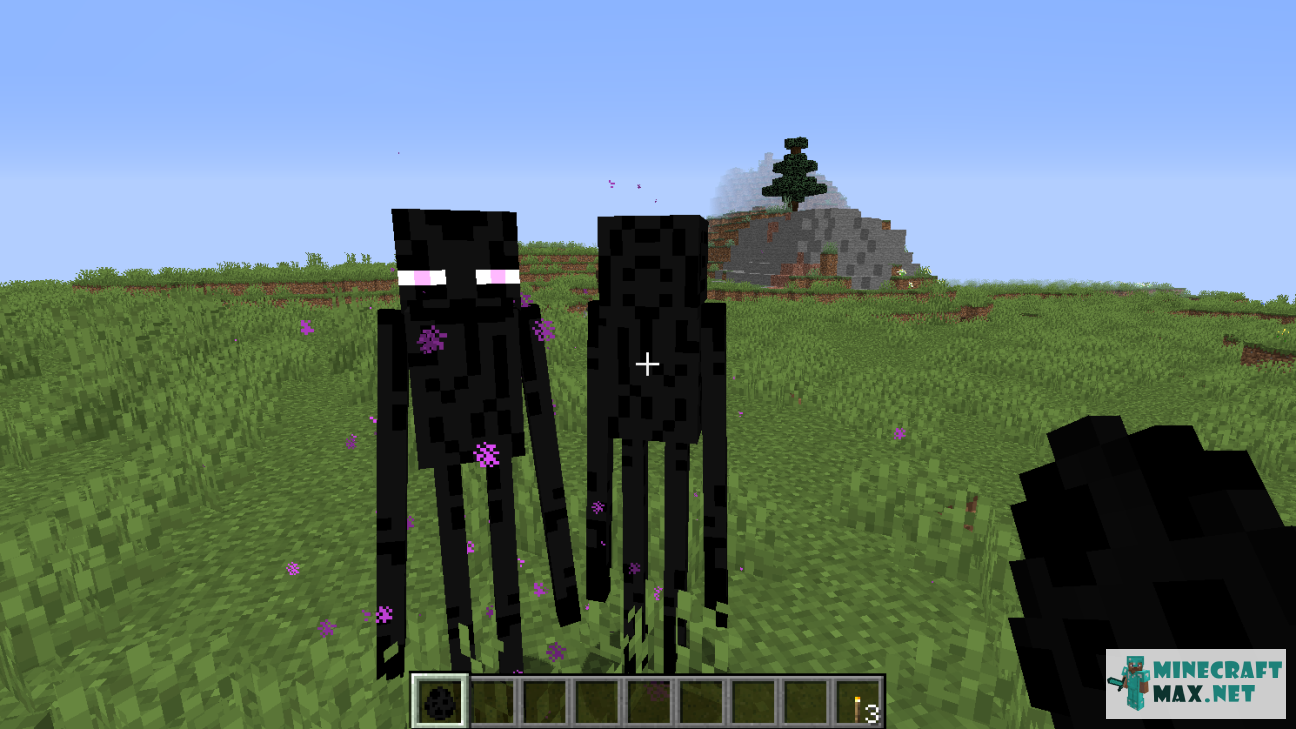 Black gem in Minecraft | Screenshot 1457