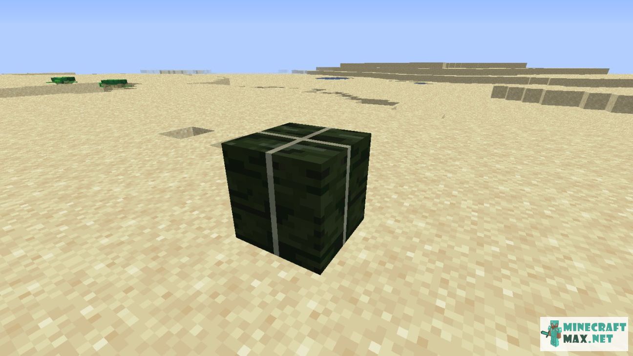 Black gem in Minecraft | Screenshot 2262
