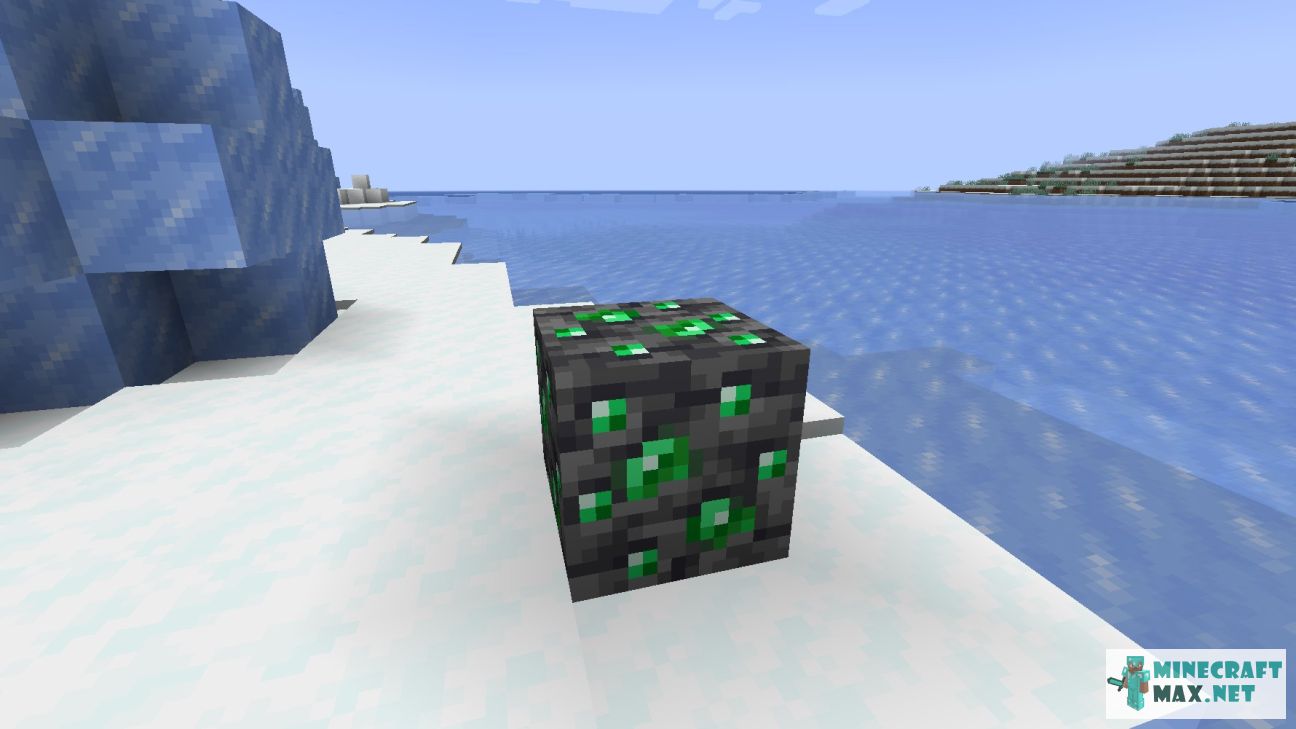 Black gem in Minecraft | Screenshot 3275
