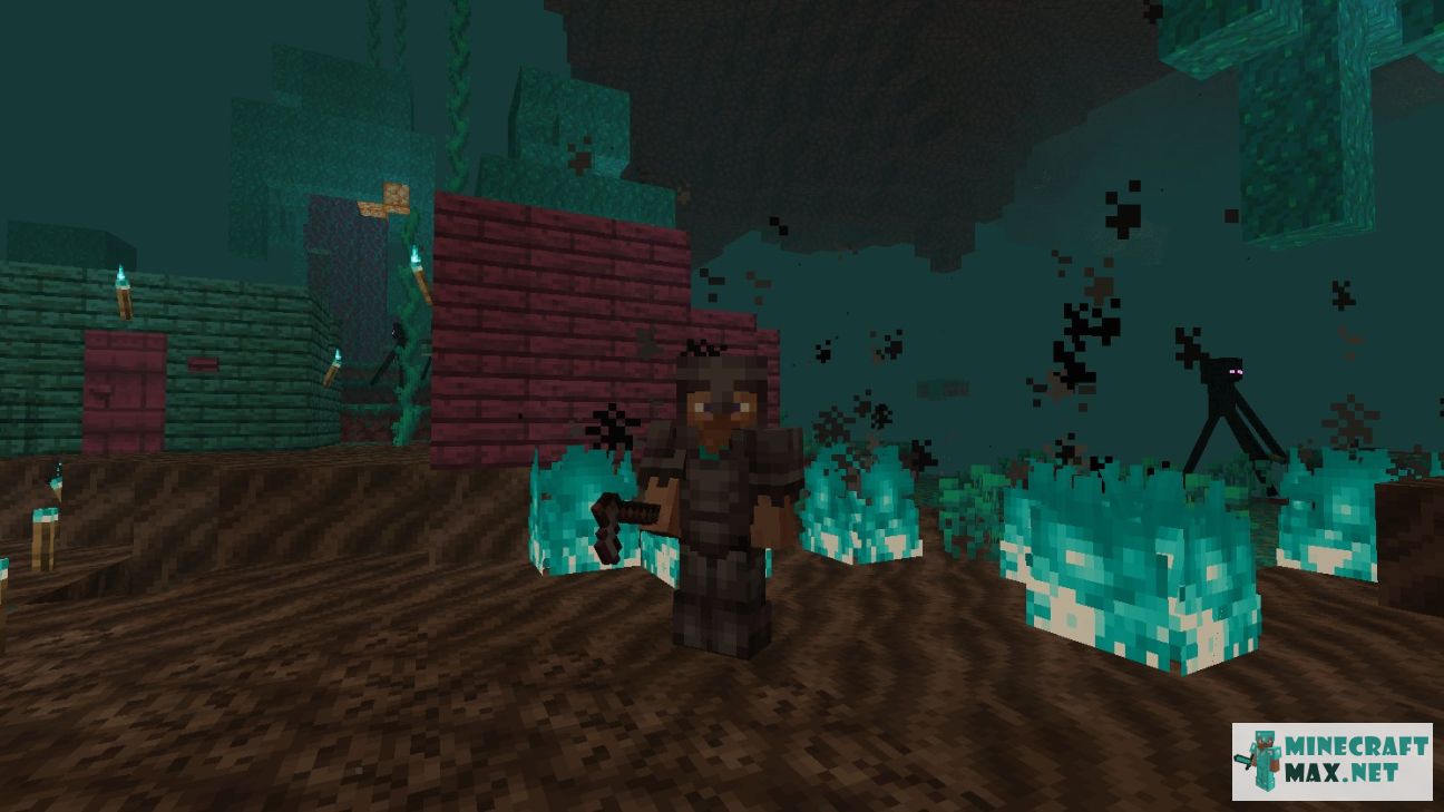 Modem in Minecraft | Screenshot 2090
