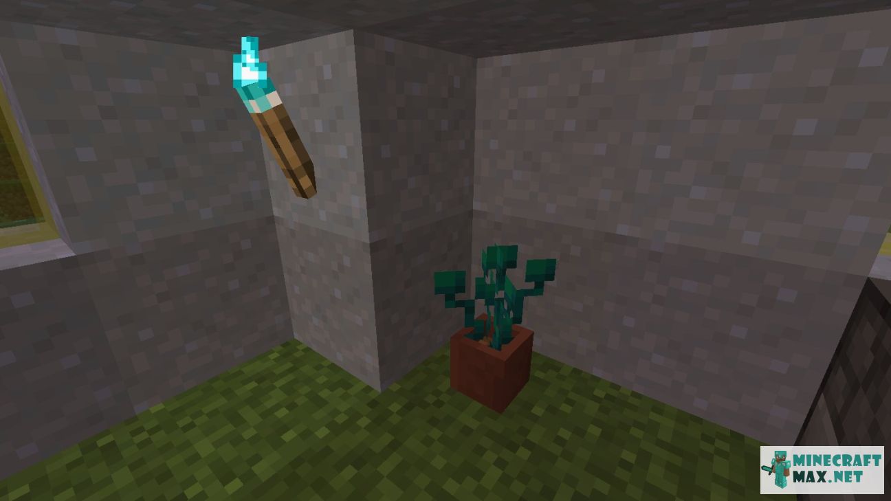 Black gem in Minecraft | Screenshot 2002