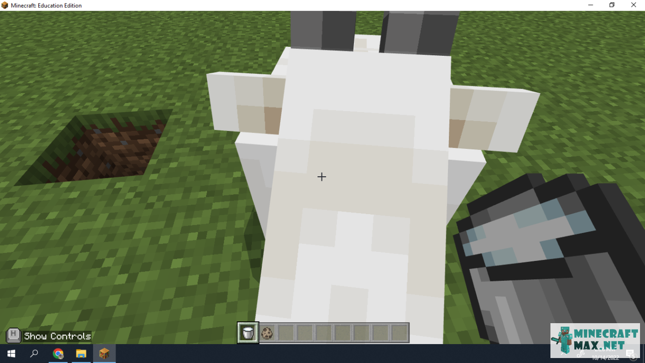Veiciet uzdevumu Подоить козу programmā Minecraft | Screenshot 3