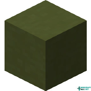 Green Terracotta in Minecraft