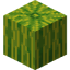 Melon in Minecraft