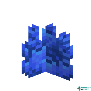 Tube Coral in Minecraft