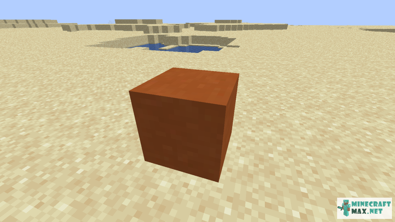 Black gem in Minecraft | Screenshot 1085