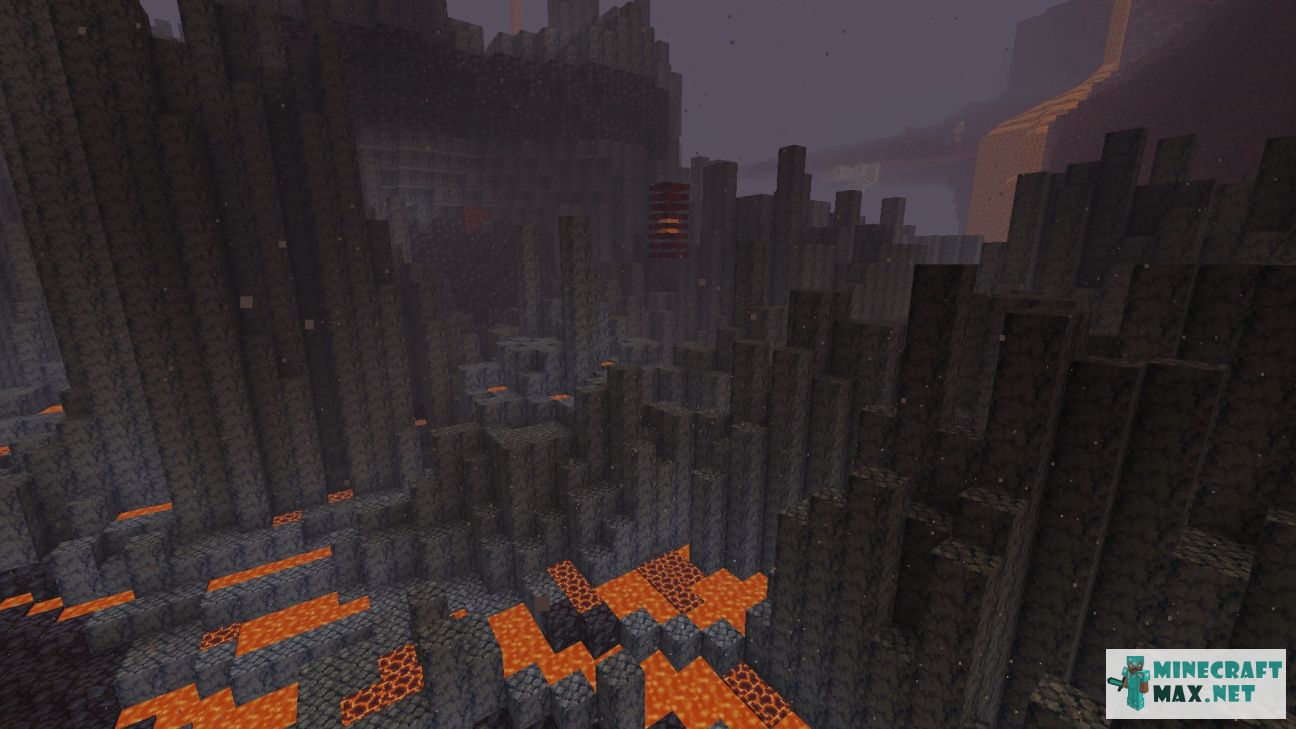 Black gem in Minecraft | Screenshot 3442