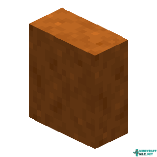 Vertical Smooth Red Sandstone Slab in Minecraft