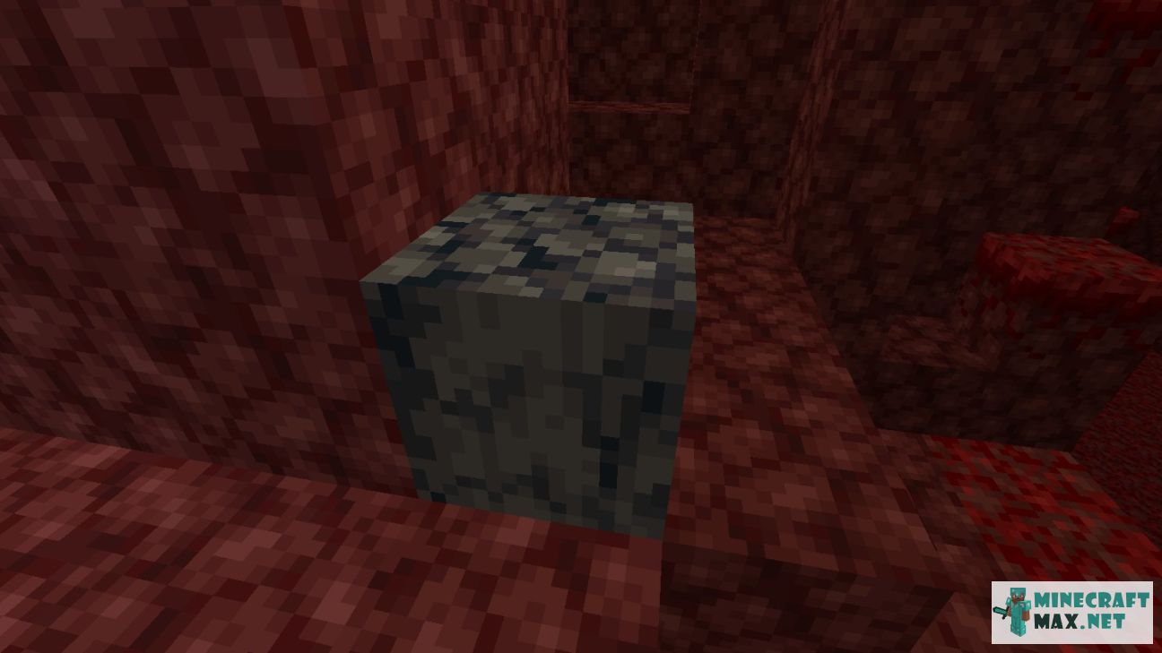 Black gem in Minecraft | Screenshot 2941