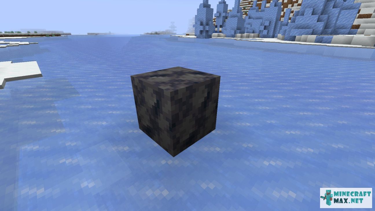 Black gem in Minecraft | Screenshot 3441