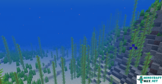 Ocean in Minecraft