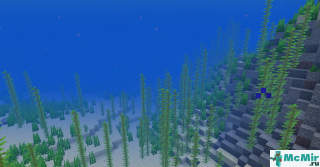 Океан в Майнкрафте