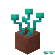 Potted Warped Roots in Minecraft