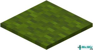 Зелёный ковёр в Майнкрафте