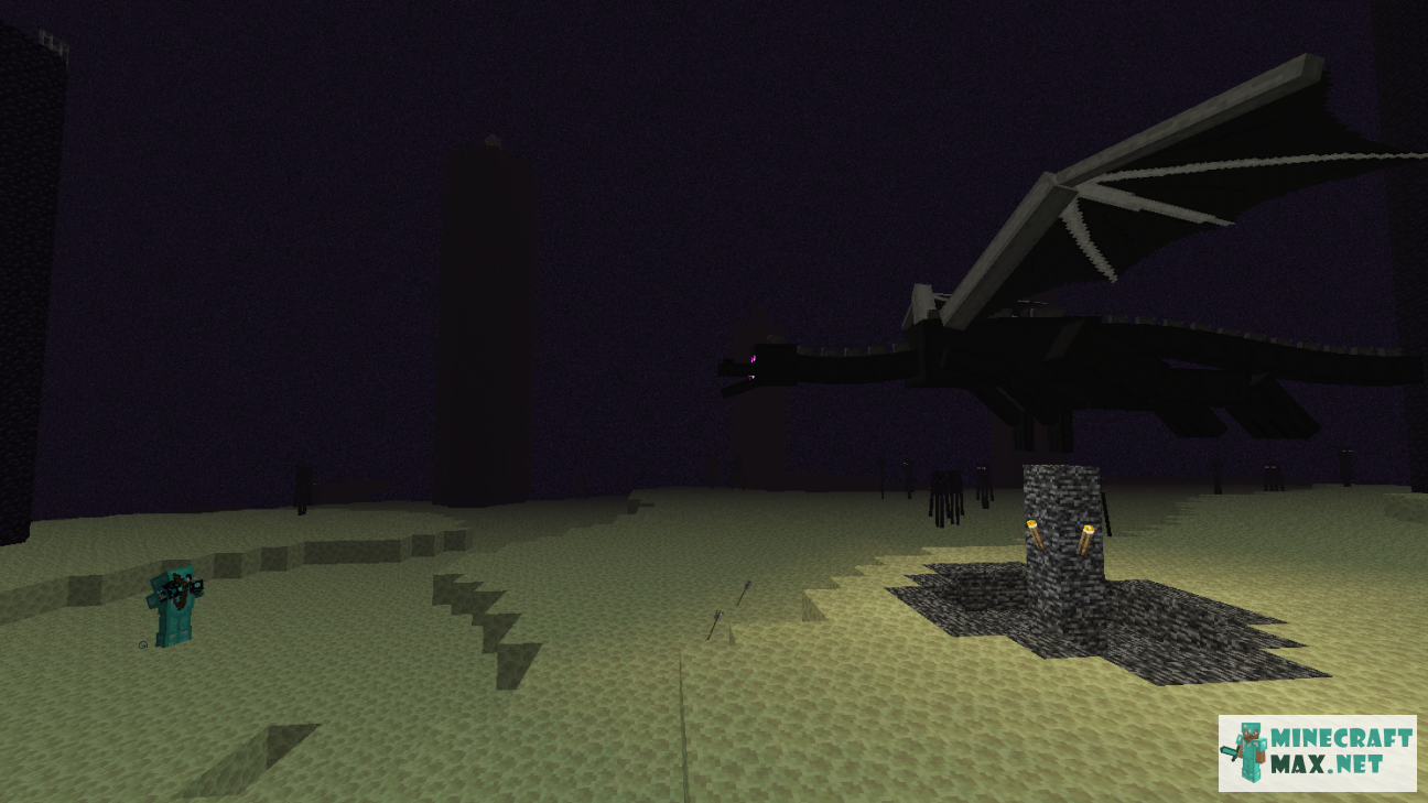 Black gem in Minecraft | Screenshot 969