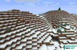 Snowy Tundra in Minecraft