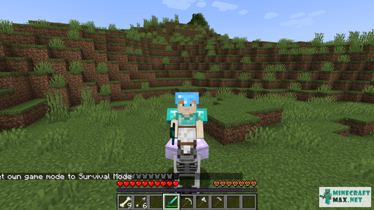 Veiciet uzdevumu Скриншот игрока верхом на лошади-скелете programmā Minecraft | Screenshot 6