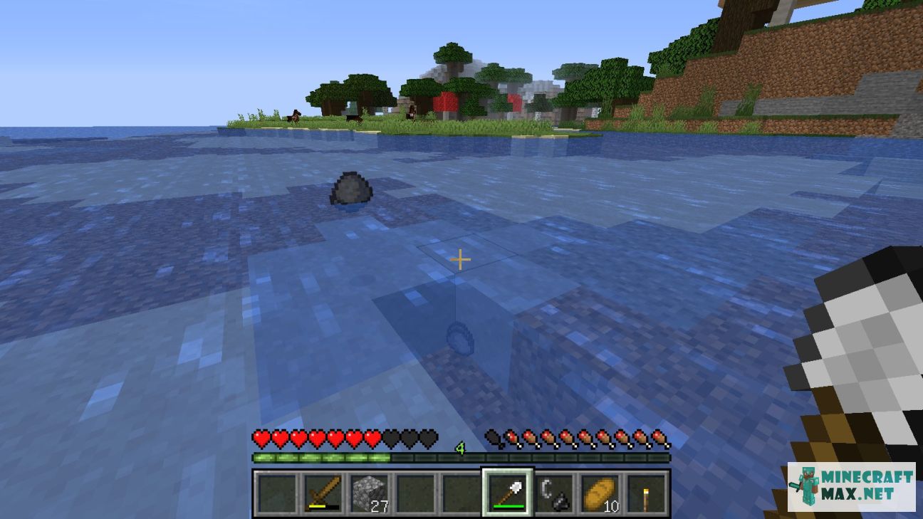 Black gem in Minecraft | Screenshot 54