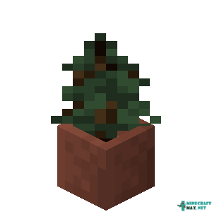 Potted Spruce Sapling in Minecraft