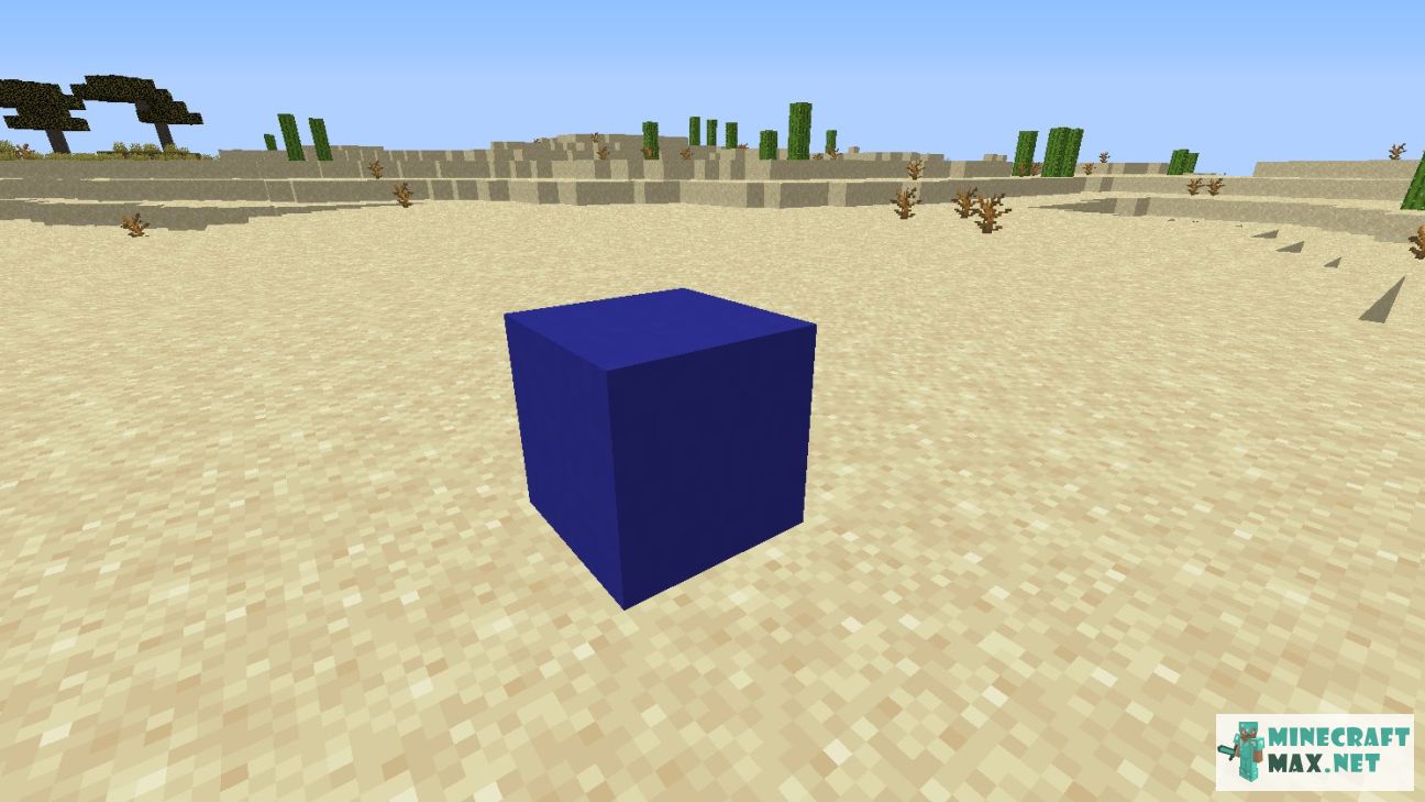 Black gem in Minecraft | Screenshot 2686