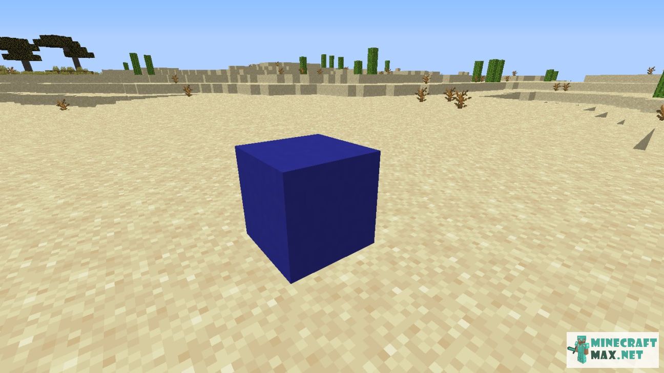 Modem in Minecraft | Screenshot 2684