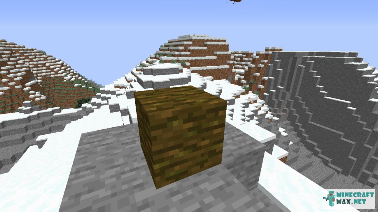 Modem in Minecraft | Screenshot 3043