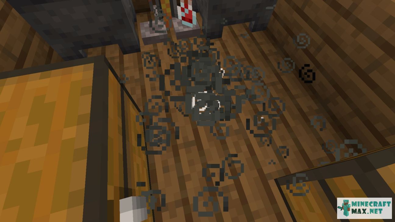 Black gem in Minecraft | Screenshot 2231
