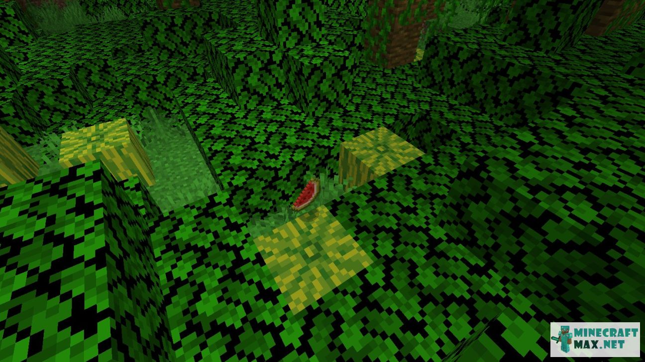 Modem in Minecraft | Screenshot 209