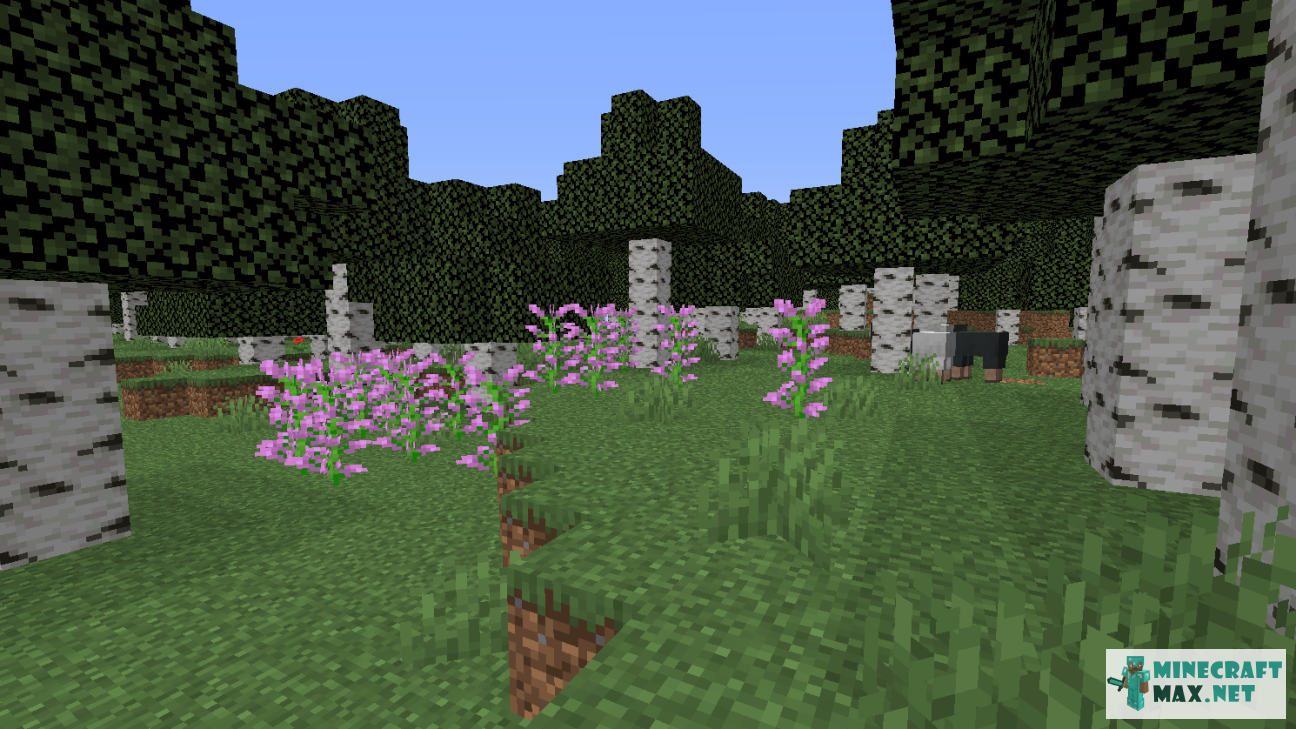 Modem in Minecraft | Screenshot 962