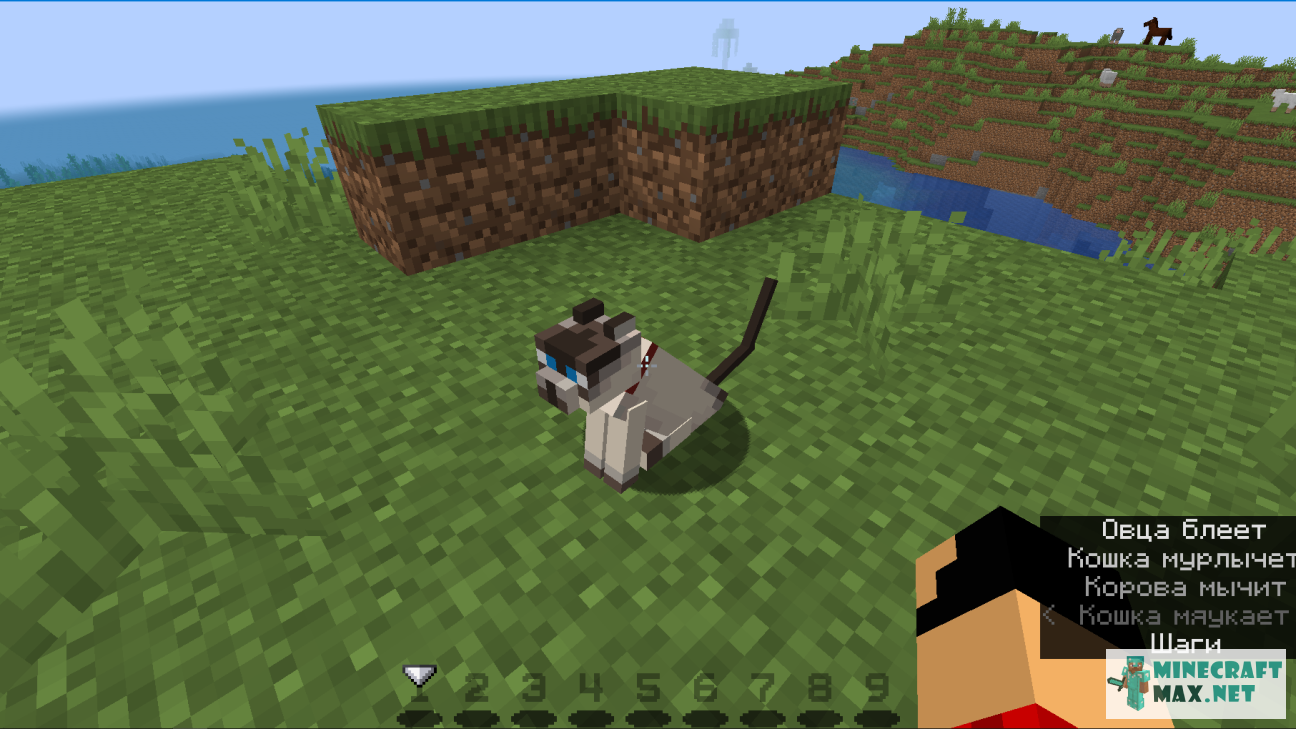 Quests Tame siamese cat for Minecraft | Screenshot 3