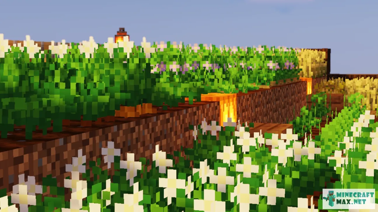 Blooming carrots and potatoes | Download texture for Minecraft: 1