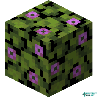 Flowering Azalea Leaves in Minecraft