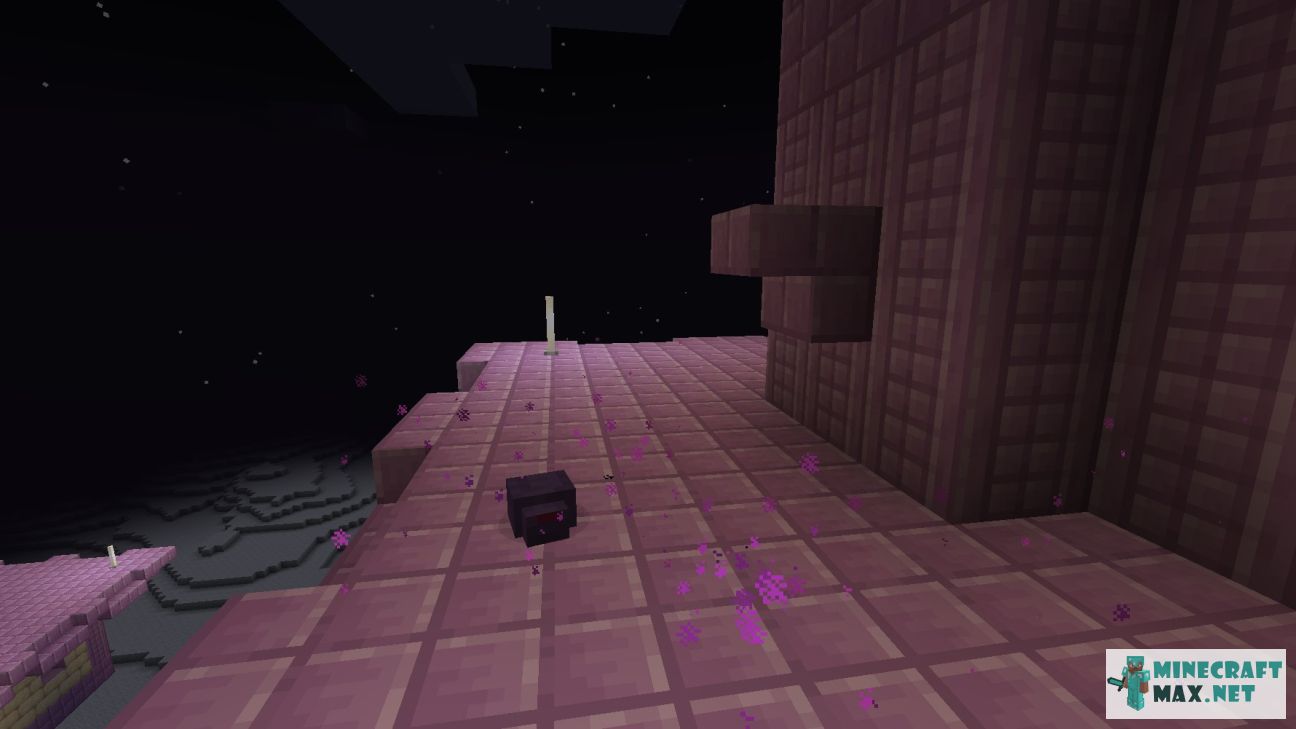 Black gem in Minecraft | Screenshot 836