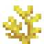 Horn Coral in Minecraft