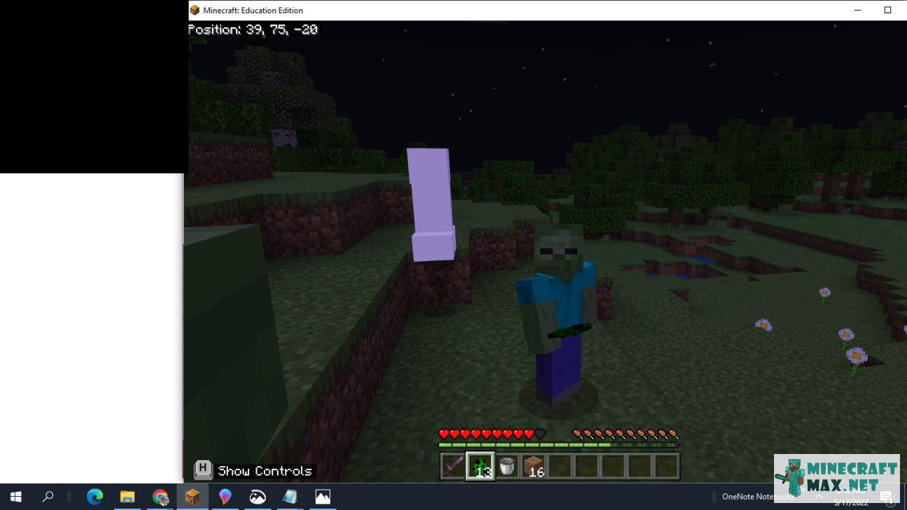 Quests Selfie with creeper for Minecraft | Screenshot 6