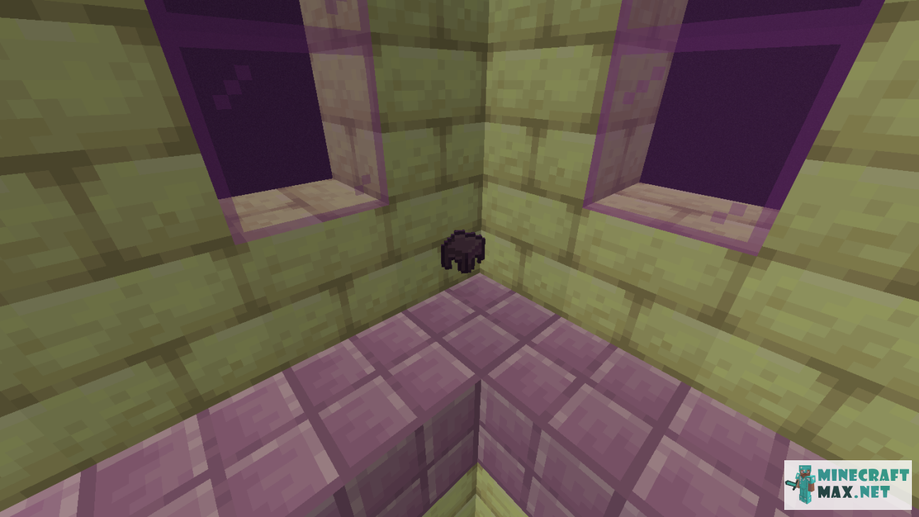 Black gem in Minecraft | Screenshot 1705