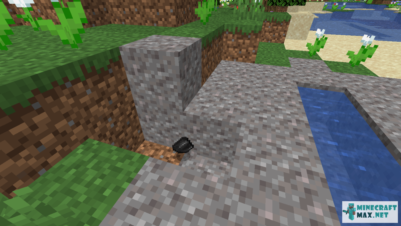 Black gem in Minecraft | Screenshot 699