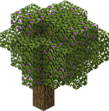 Leaves – Minecraft Wiki