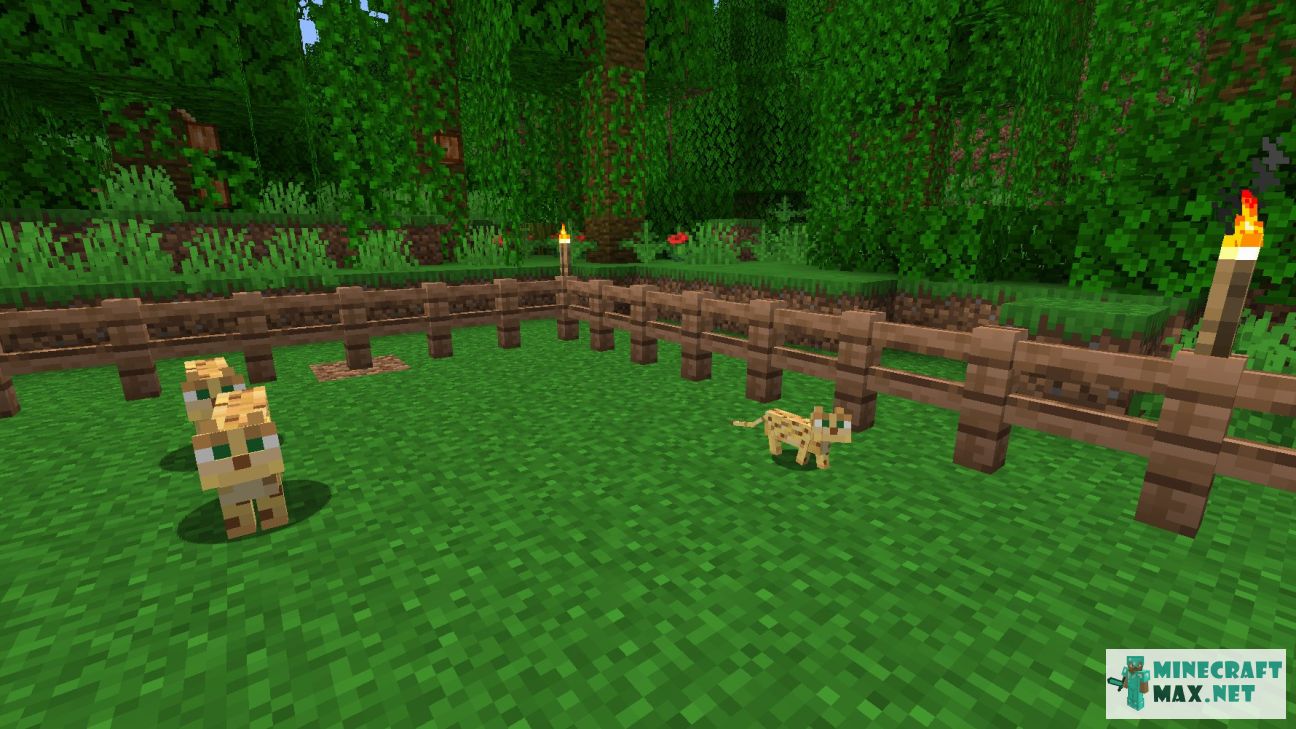 ocelot kitten minecraft