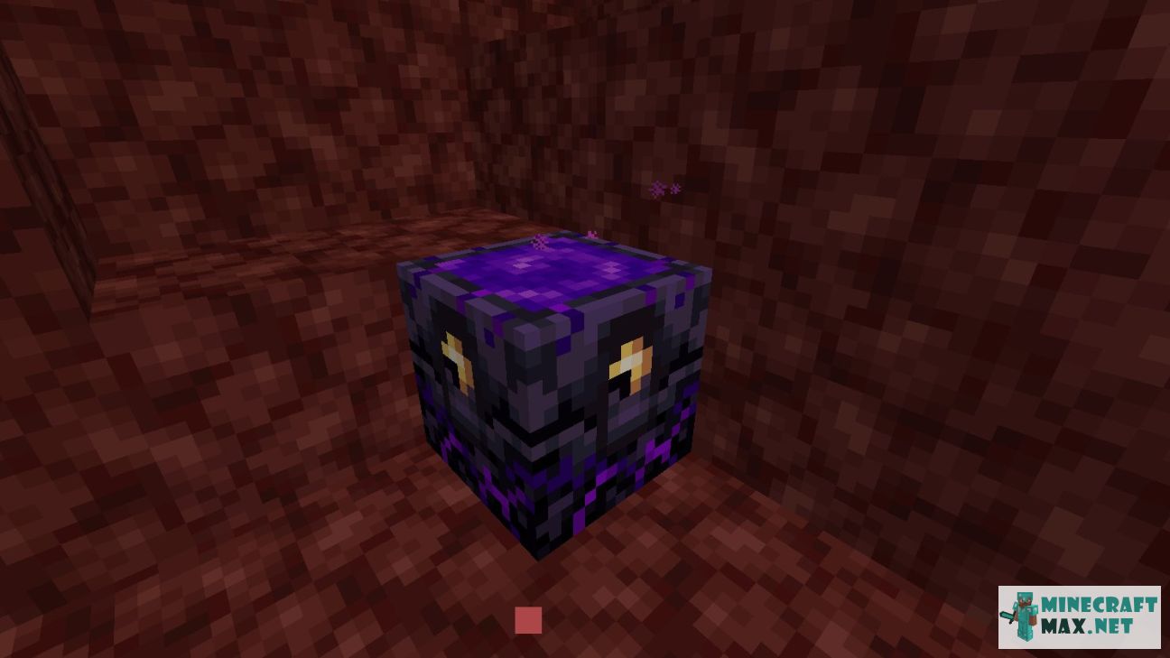 Black gem in Minecraft | Screenshot 2645