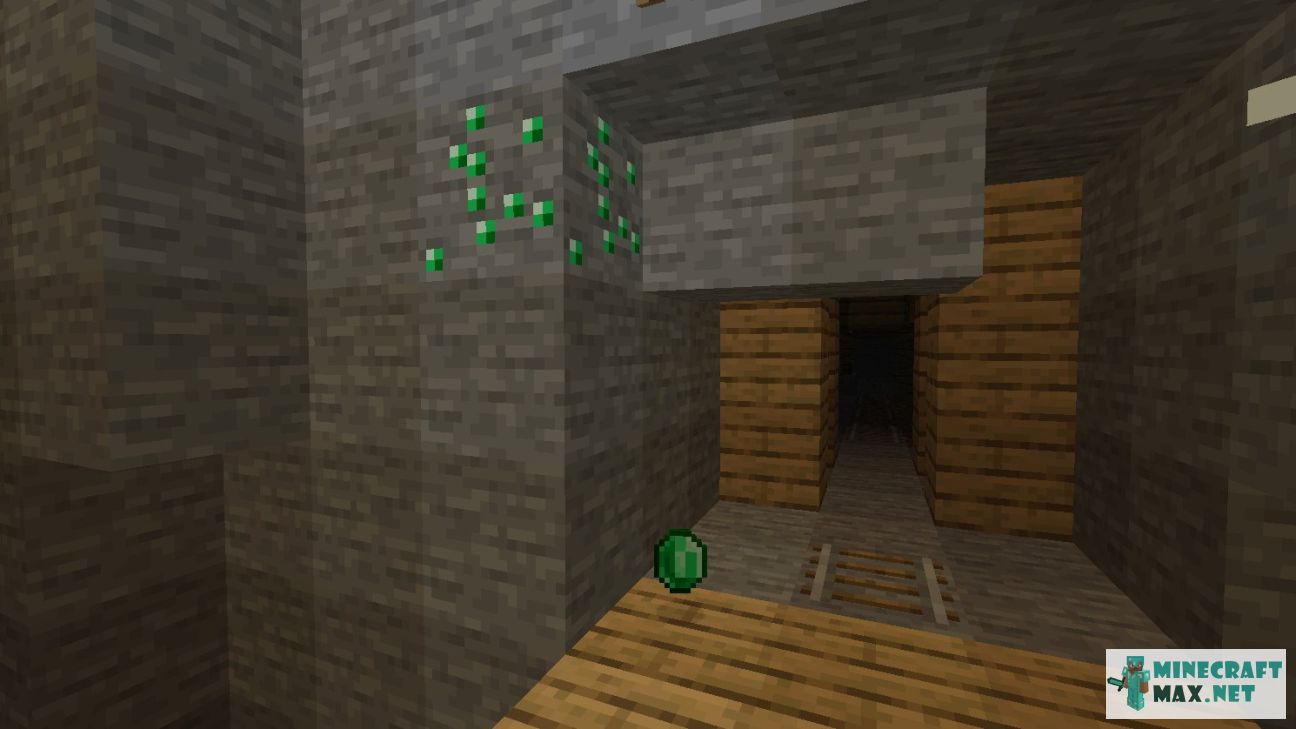 Black gem in Minecraft | Screenshot 584