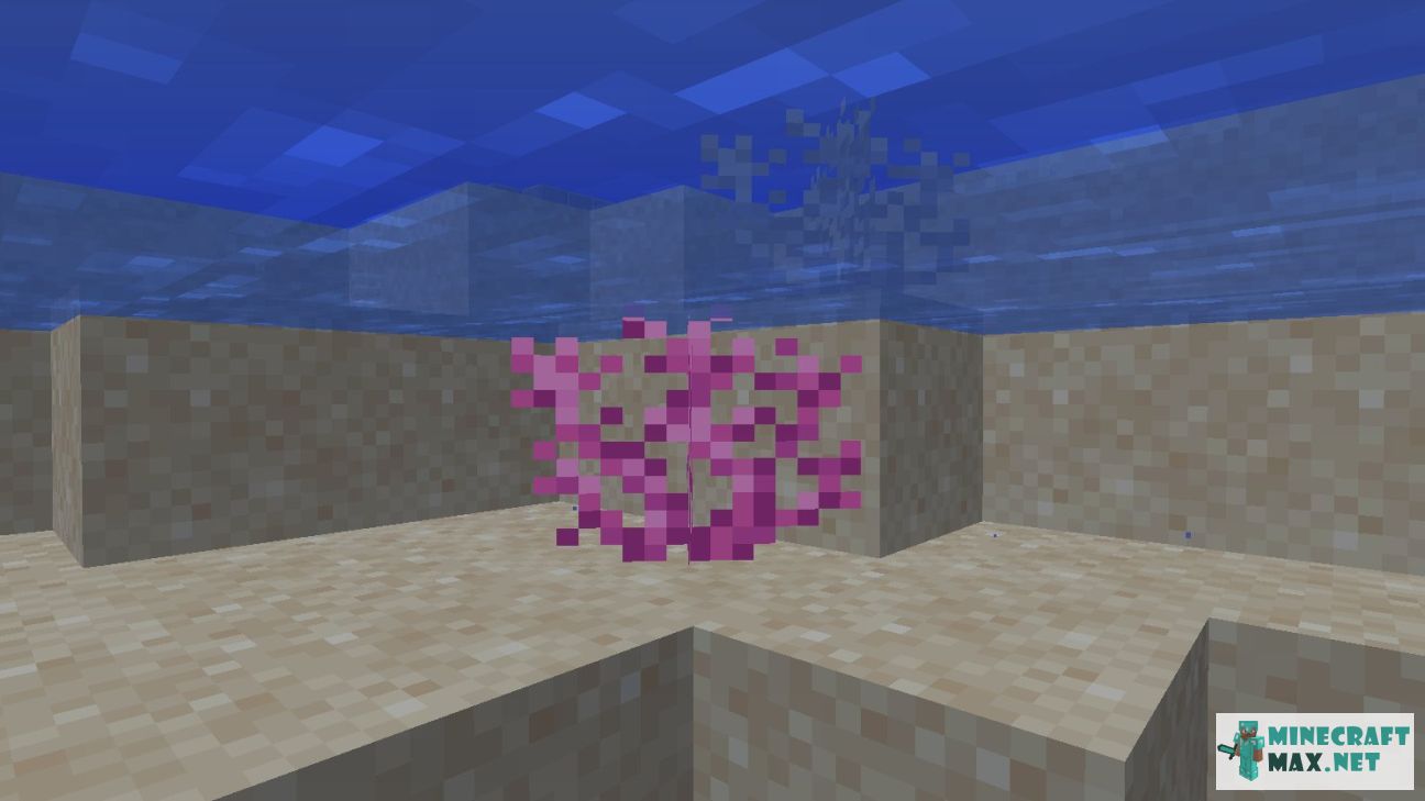 Brain Coral in Minecraft | Screenshot 1