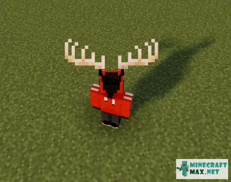 Cute Deer Antlers | Download texture for Minecraft: 1