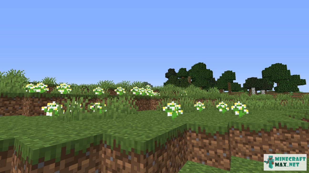 Modem in Minecraft | Screenshot 2935
