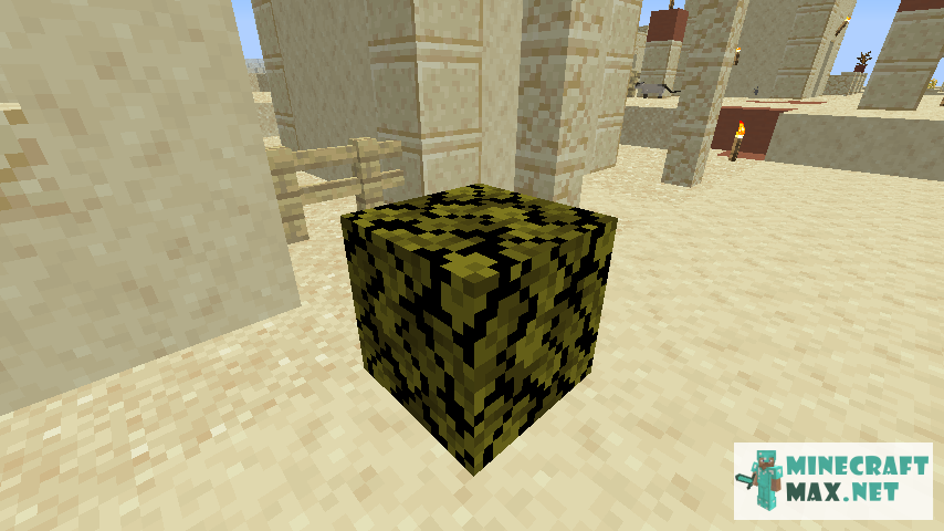 Black gem in Minecraft | Screenshot 467
