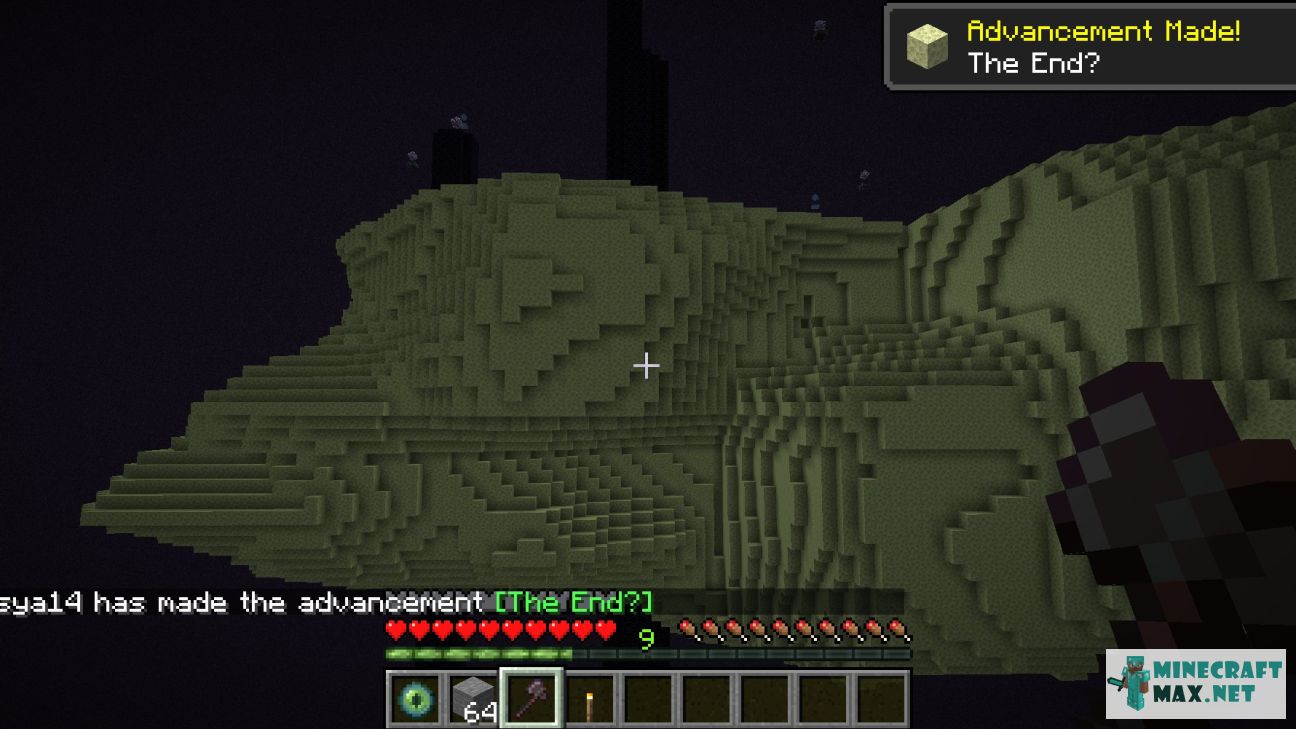 Black gem in Minecraft | Screenshot 1030