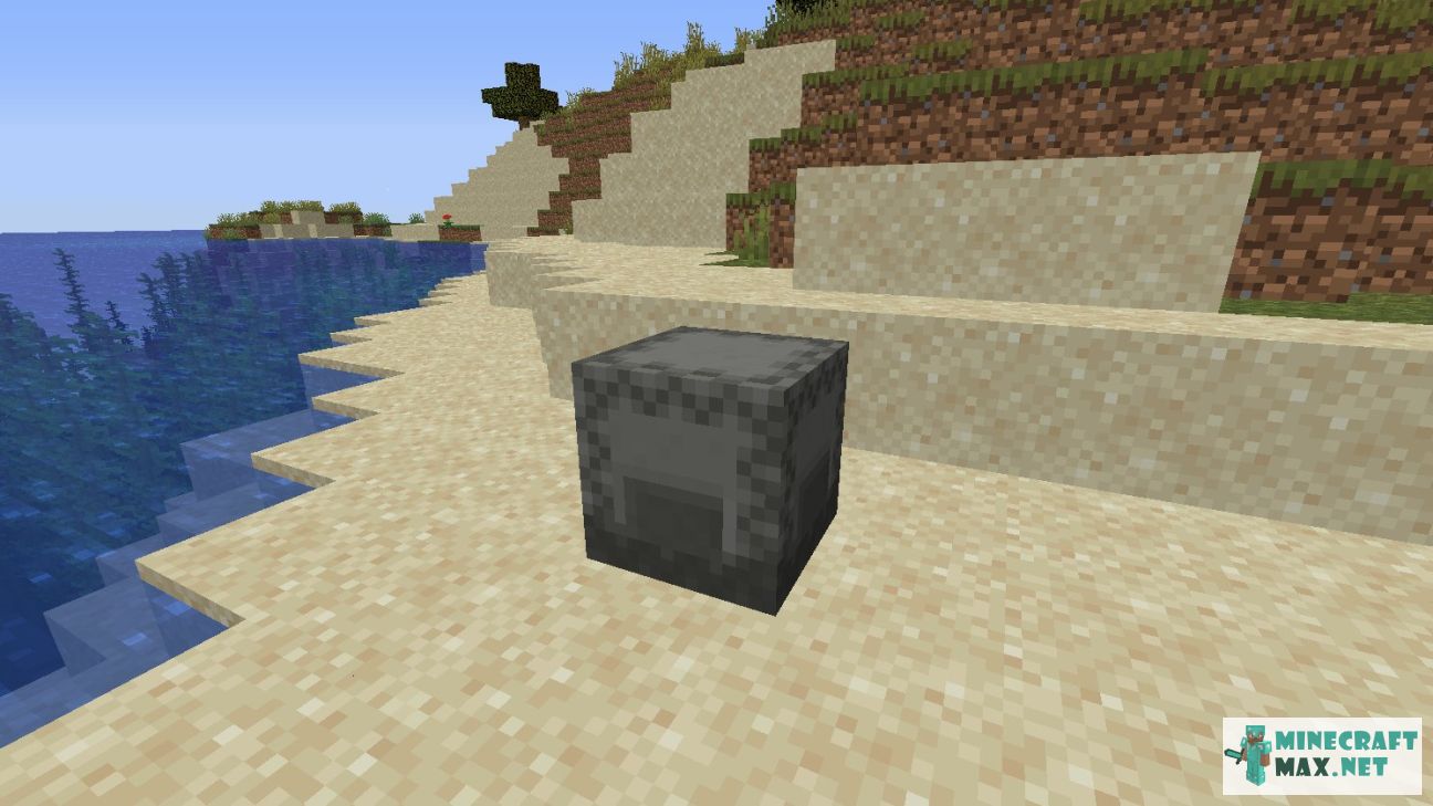 Black gem in Minecraft | Screenshot 2799