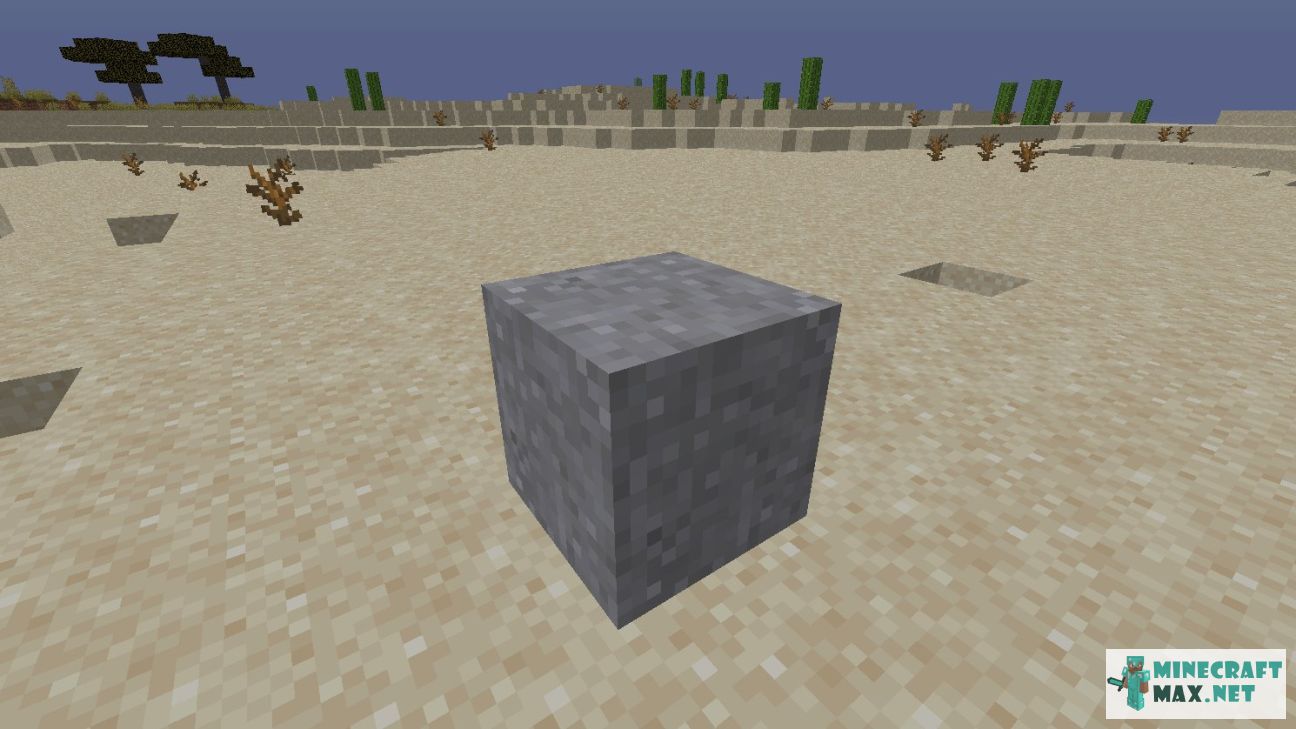 Black gem in Minecraft | Screenshot 2712