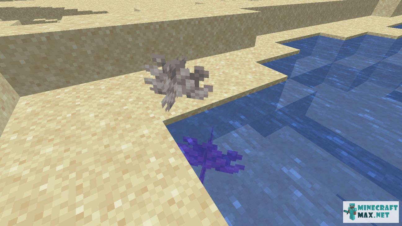 Dead Bubble Coral in Minecraft | Screenshot 1