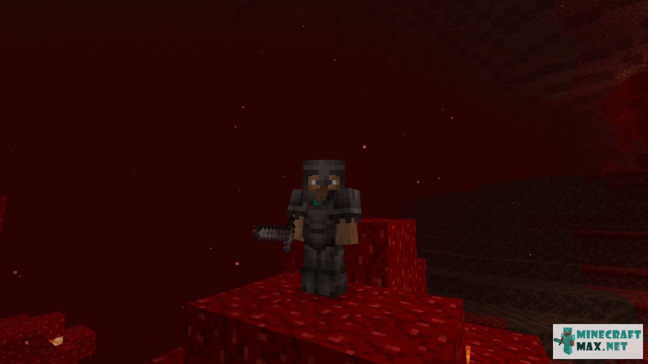 Black gem in Minecraft | Screenshot 2032
